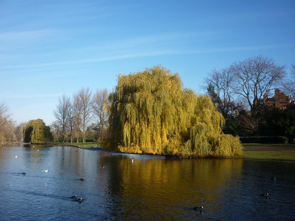 2011_12_London (163).JPG